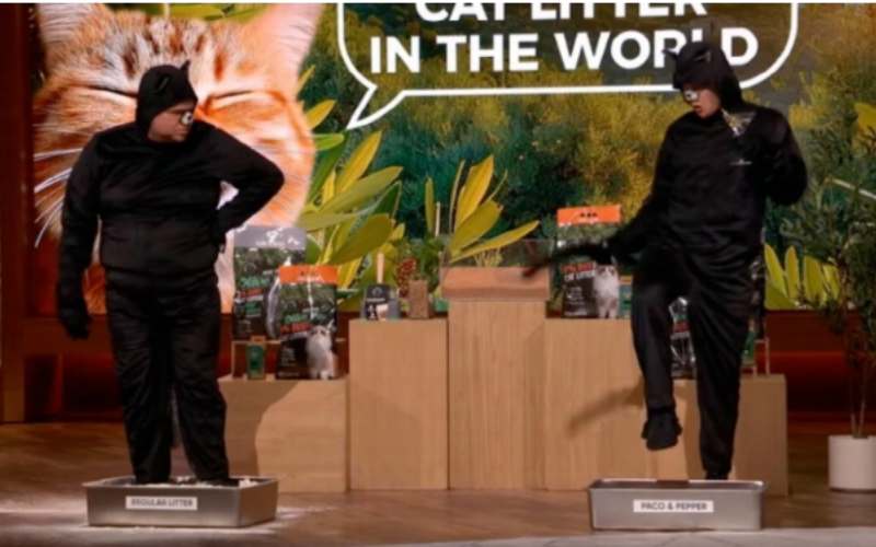 Paco & Pepper cat litter presentation on Shark Tank